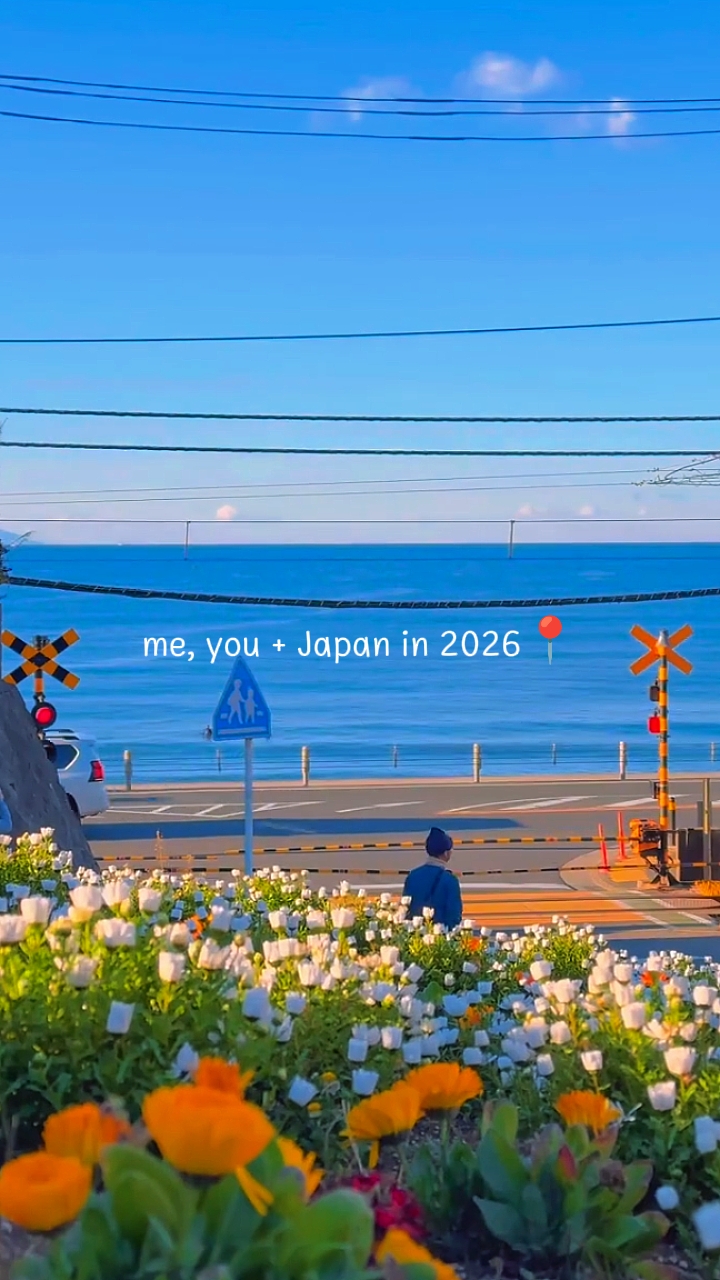 나, 너 + 2026년 일본