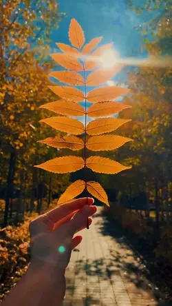 AUTUMN