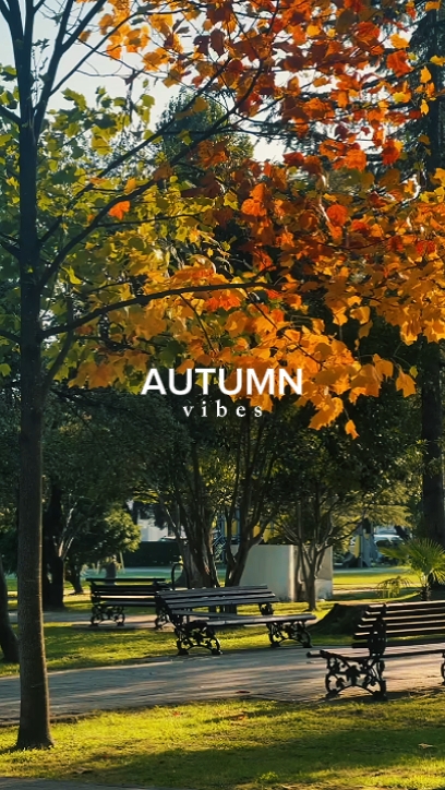 ambiance d'automne