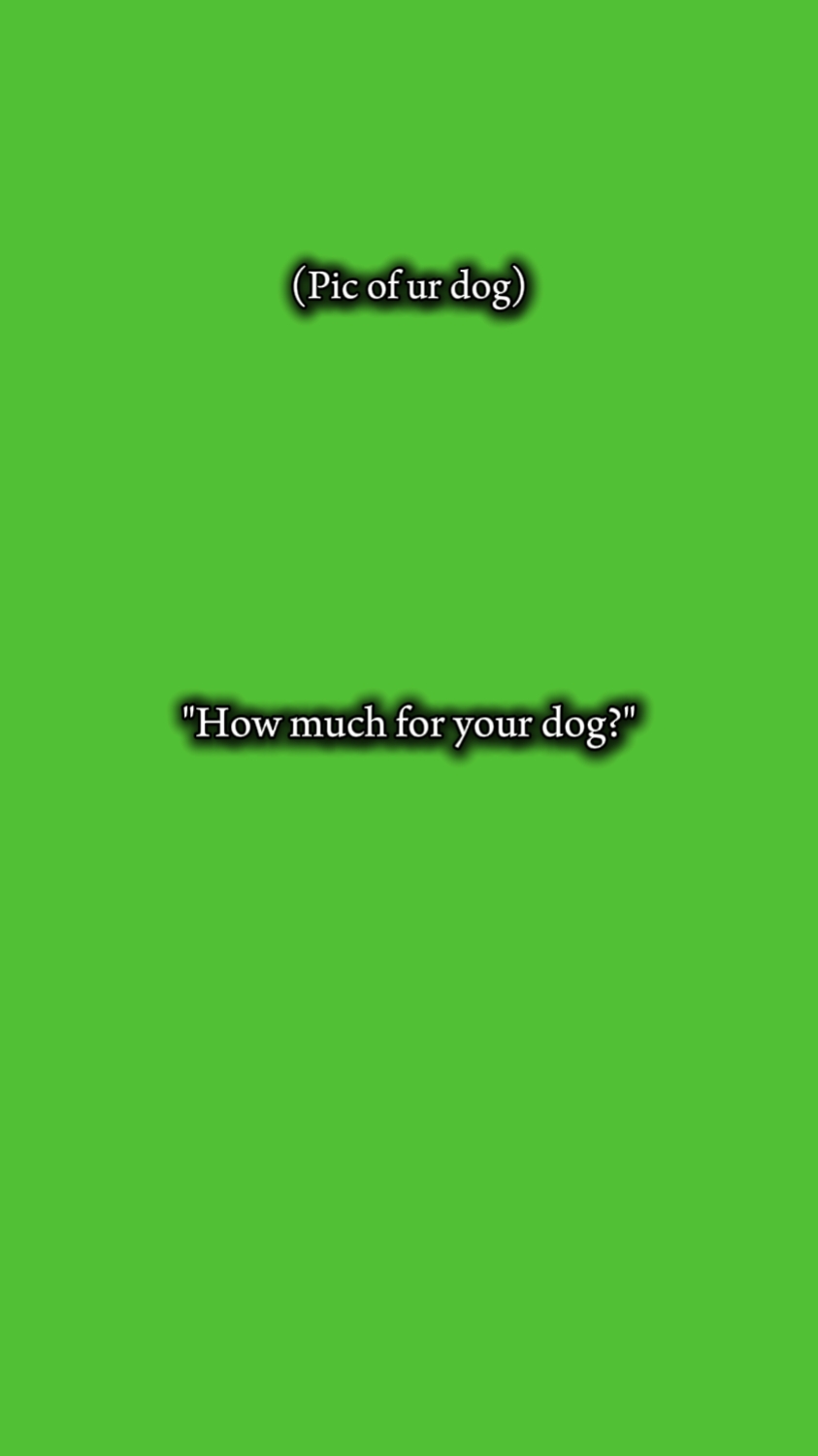 dog