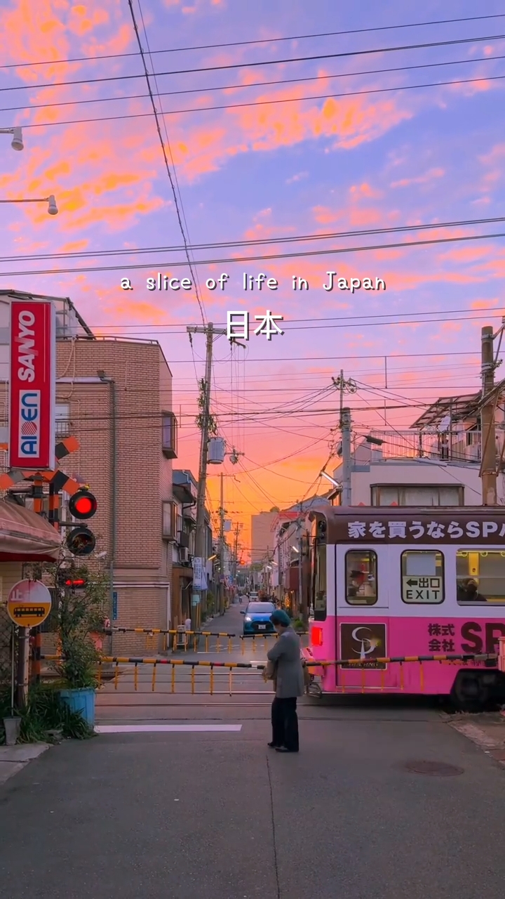 jpn의 삶의 조각