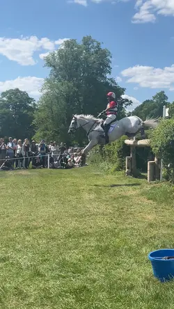flying horse!