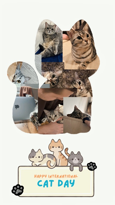 National Cat Day