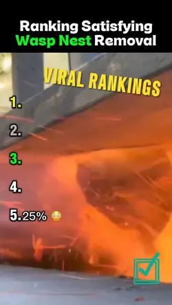 Ranking template 11