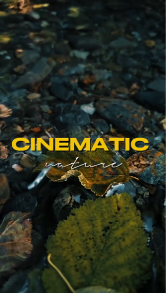 CINEMATIC NATURE
