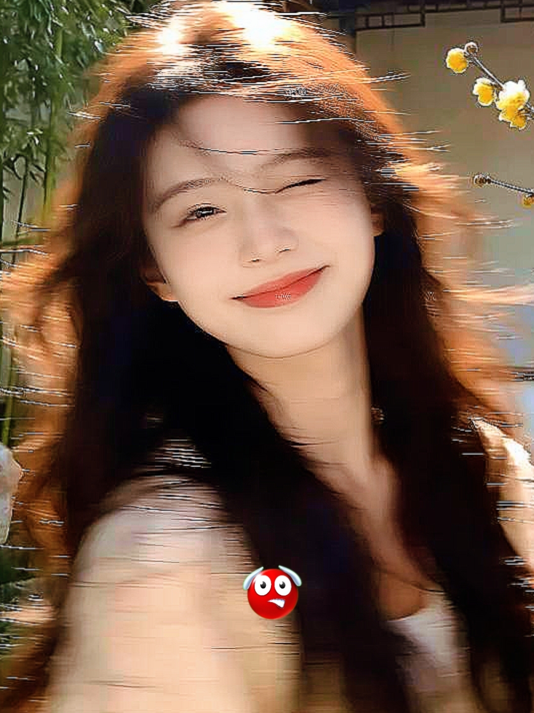 VIDEO TREN SENI