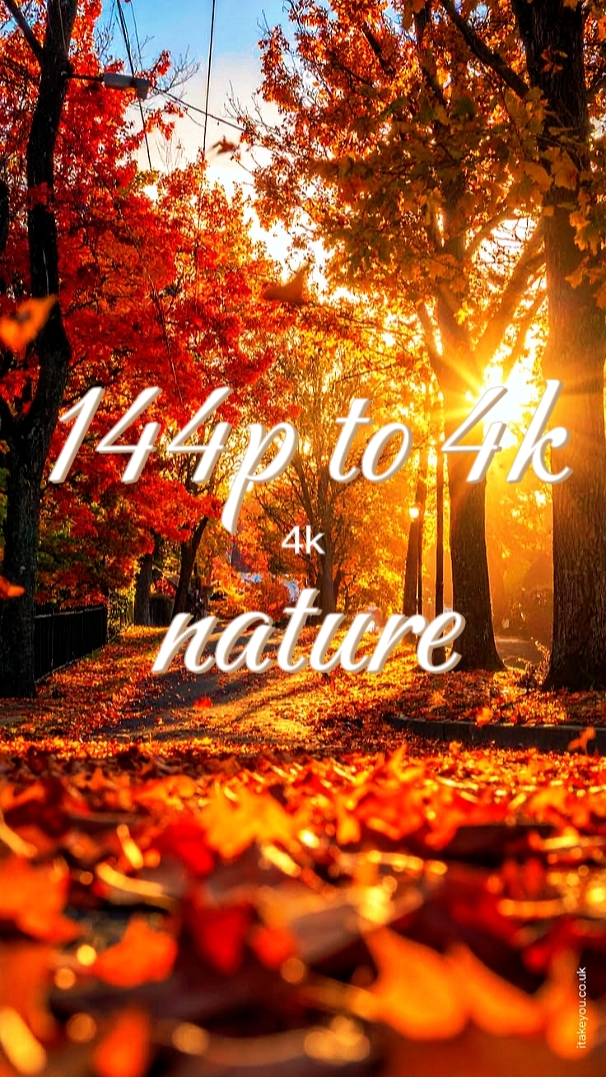 Tendance 144p à 4k