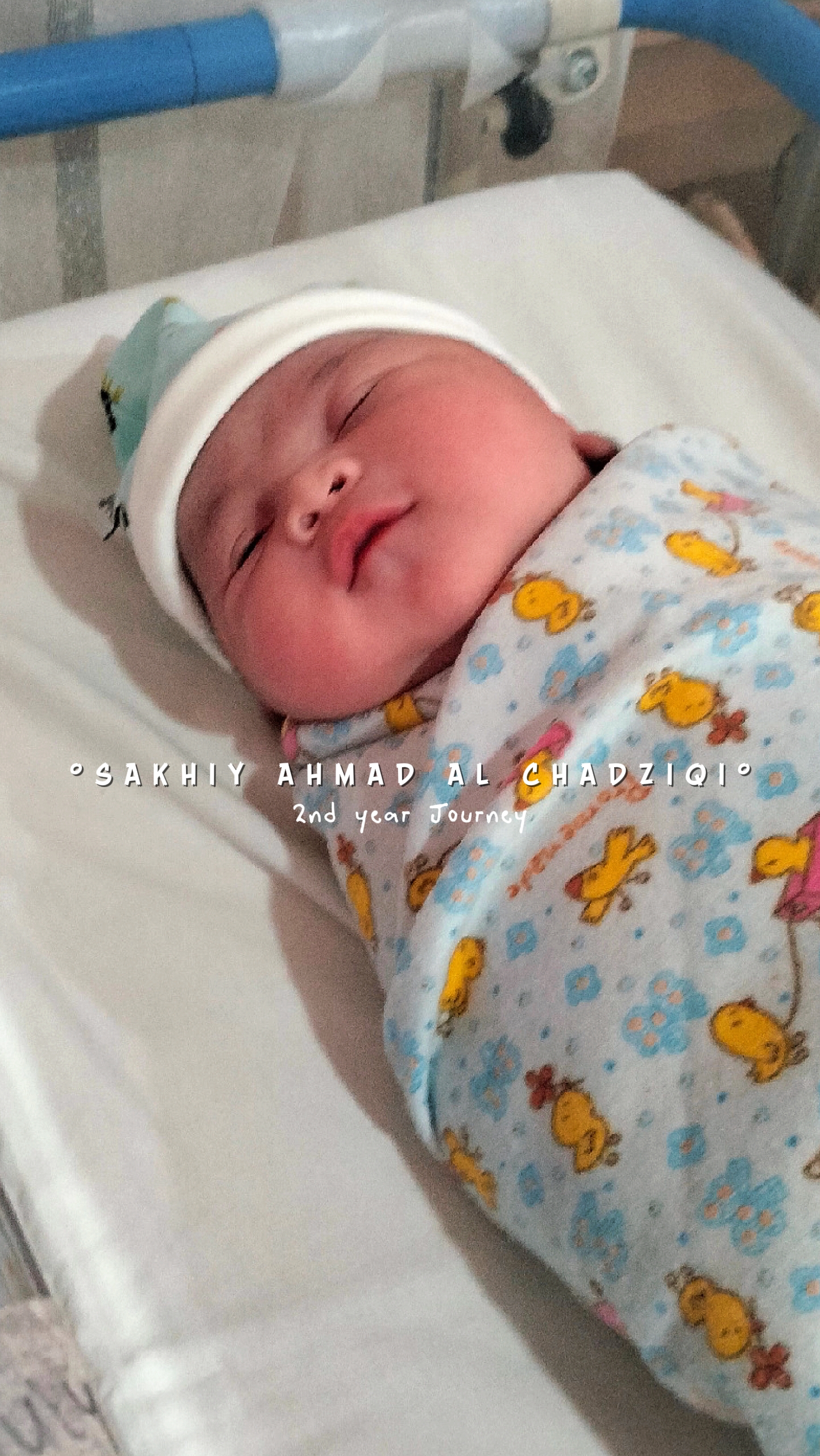 perkembangan bayi