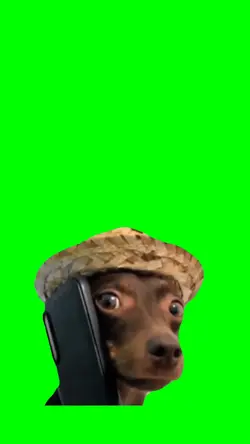DOG CALLING MEME