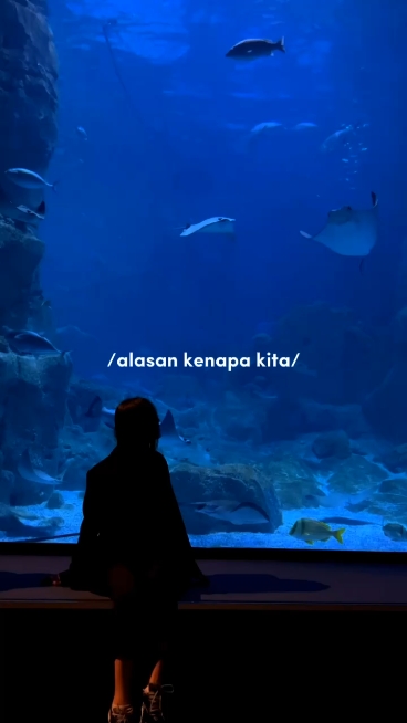 alasan kenapa kita 