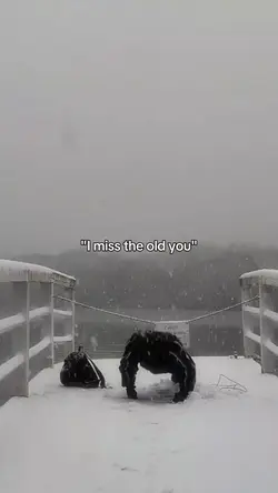 I miss the old you