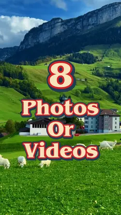 8 Videos