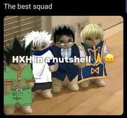 Hxh in a nutshell 💅