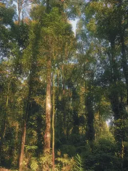 pemandangan estetik 