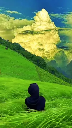 13 videos or photos 