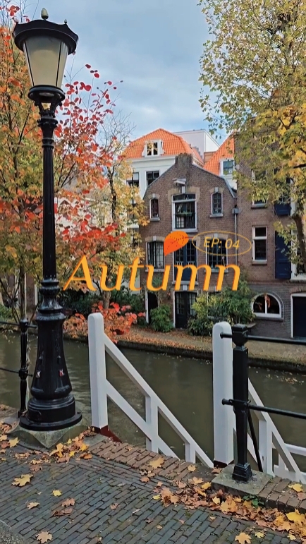 autumn vibes 