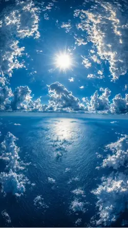 Live wallpaper