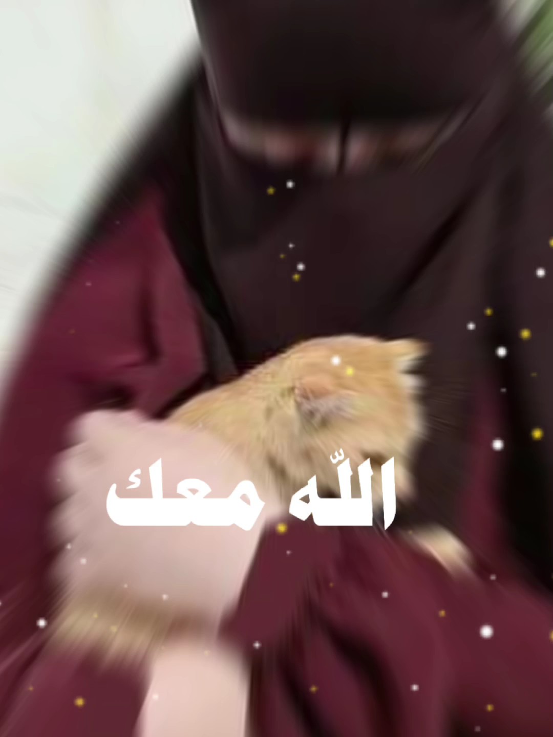 صانع القالب 