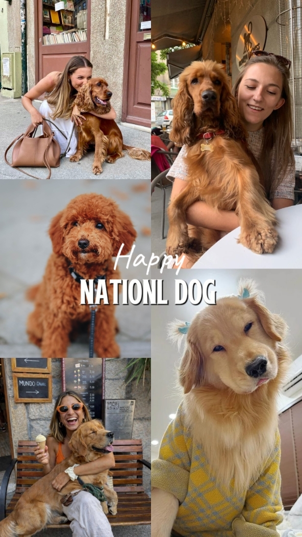 HAPPY NATIONAL  DOG
