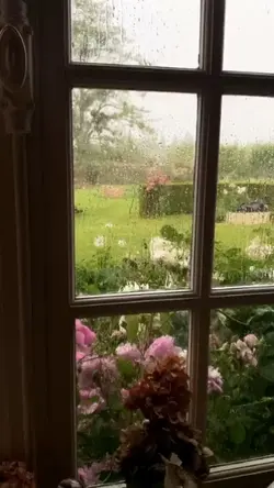 rain