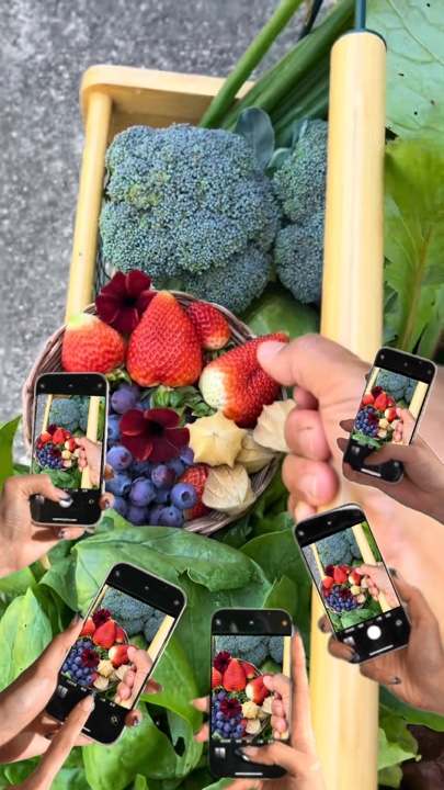 Jardinería