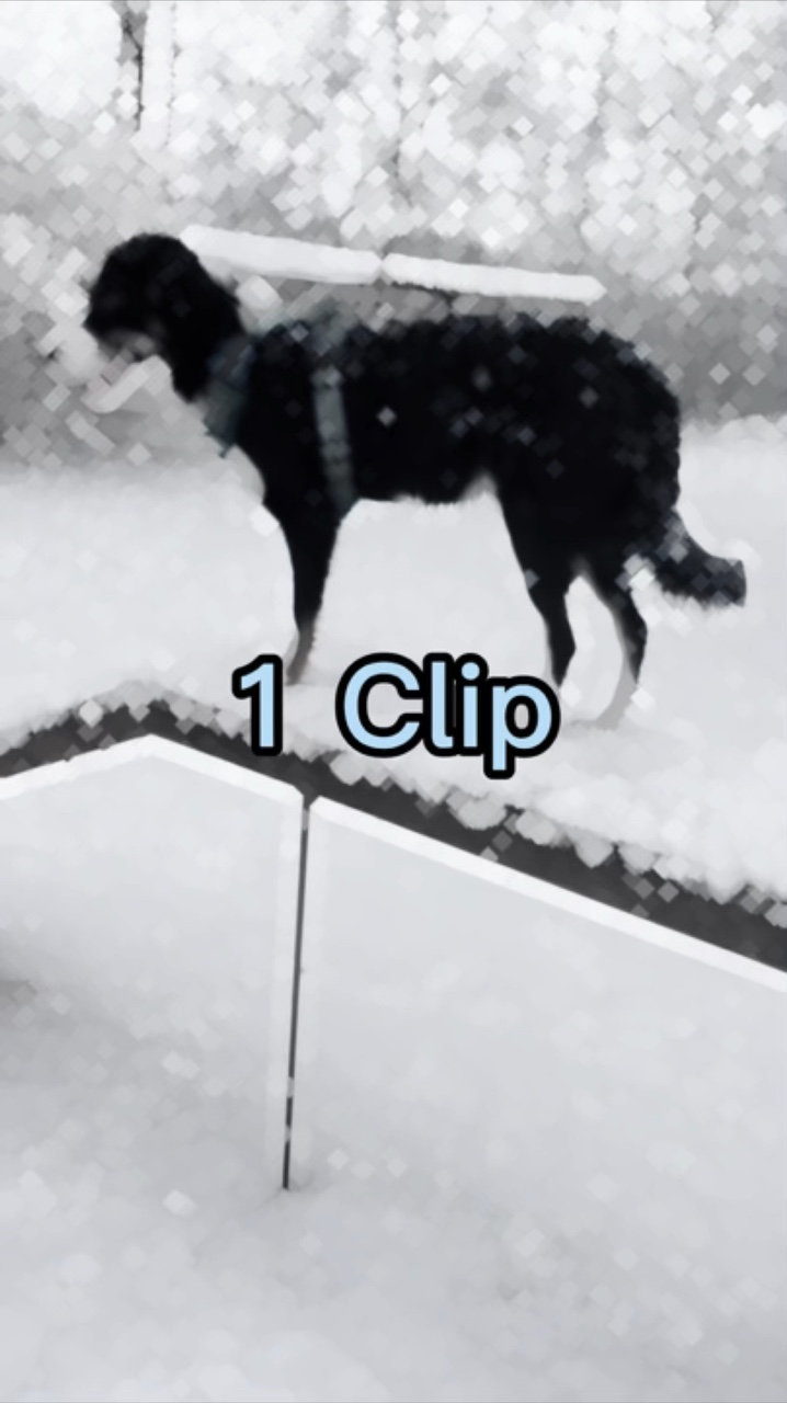 1 Clip