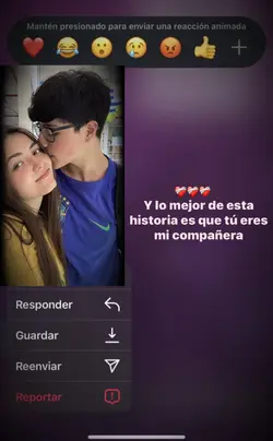Mi compañera 