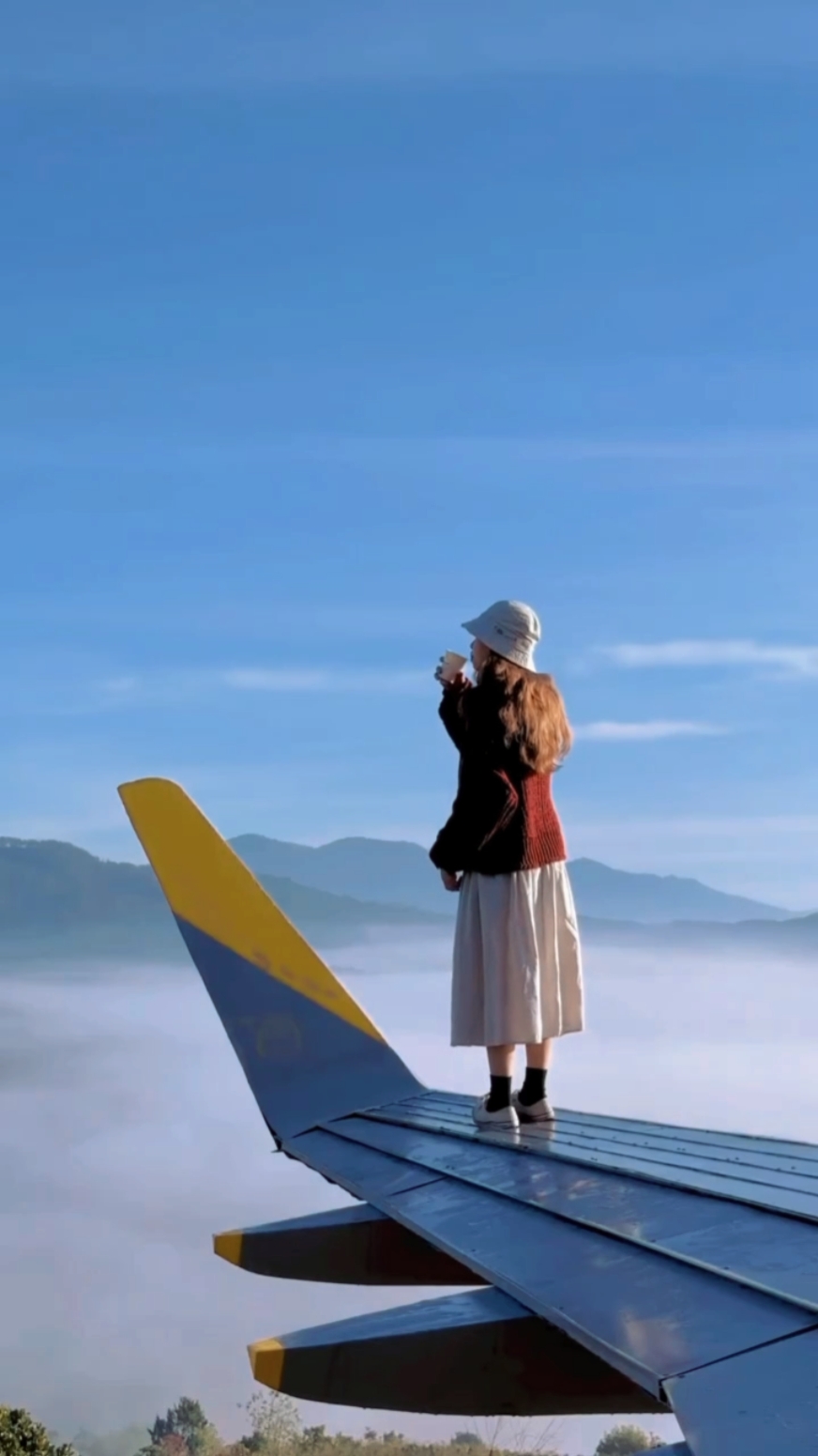 Volcado cinematográfico 2024