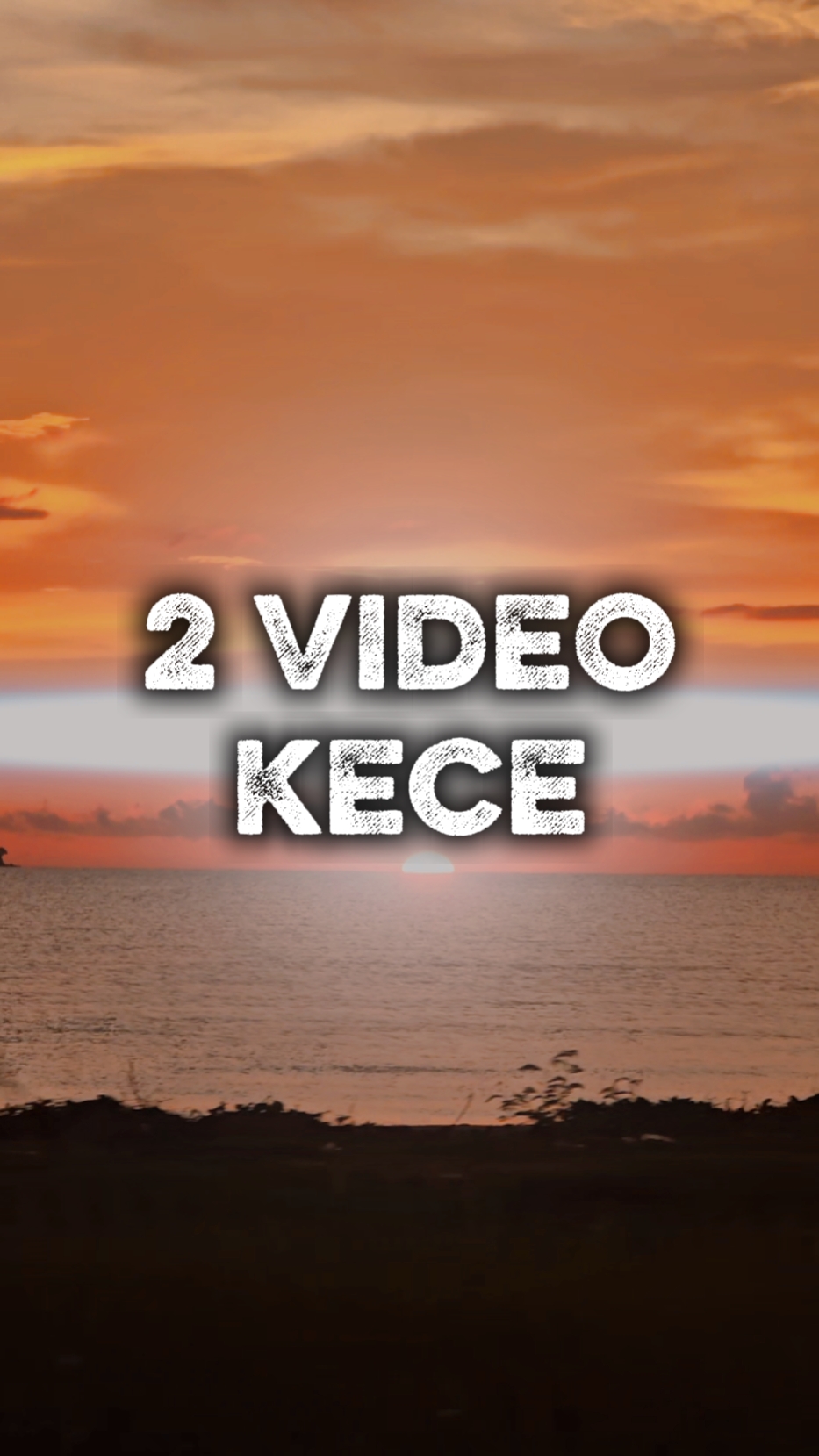 2 video x Slowmo