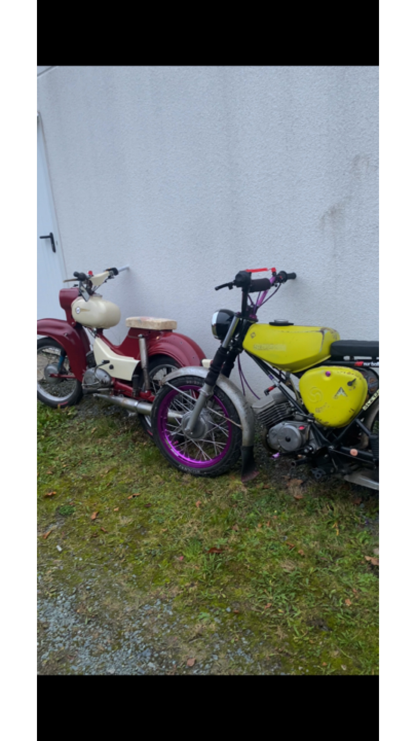 Simson tekke