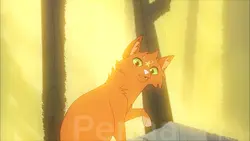 FireStar clip