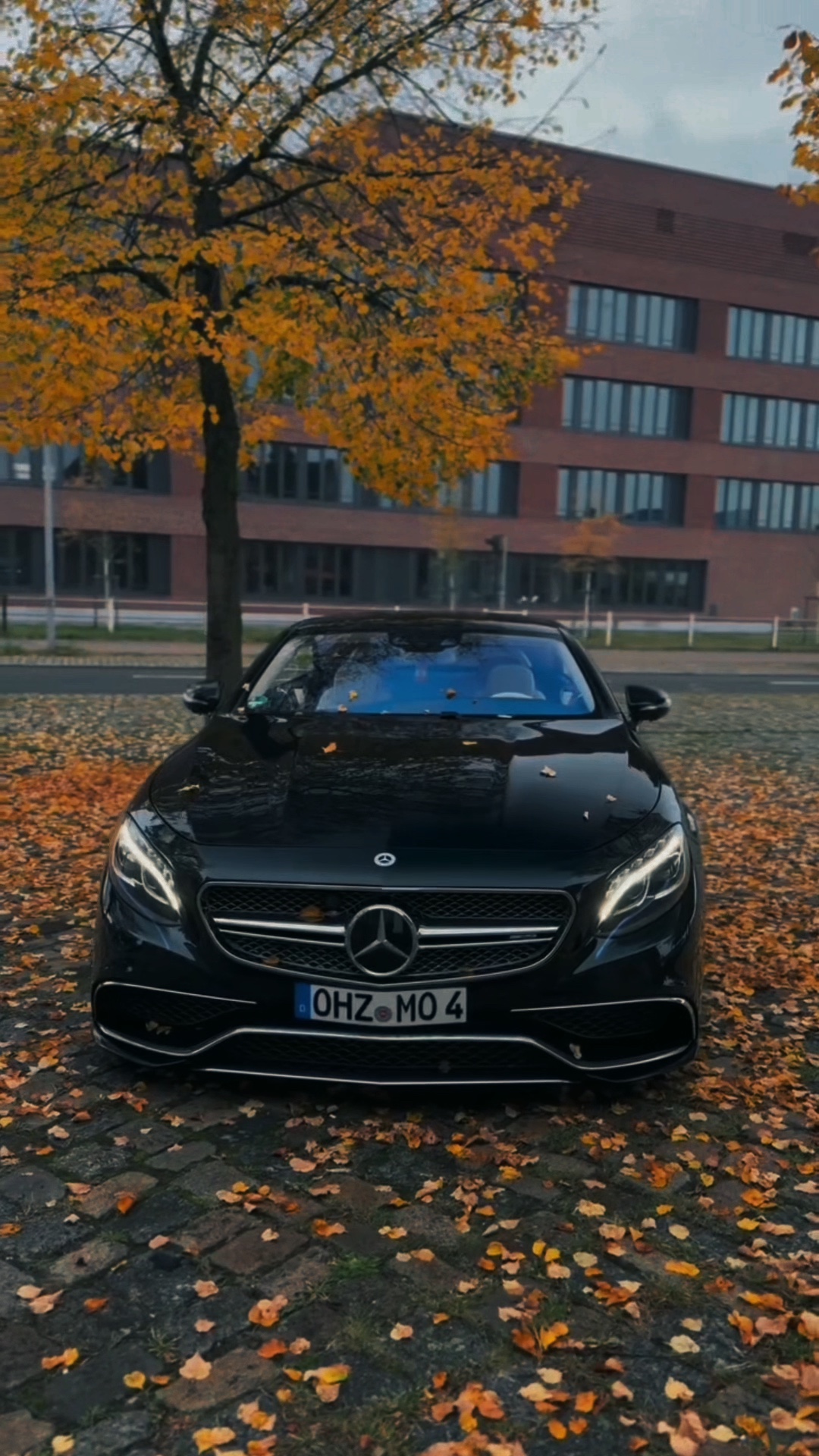 BENZ | CAREDIT🔥