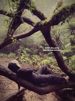 untuk mencintaimu