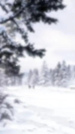 Snow Template