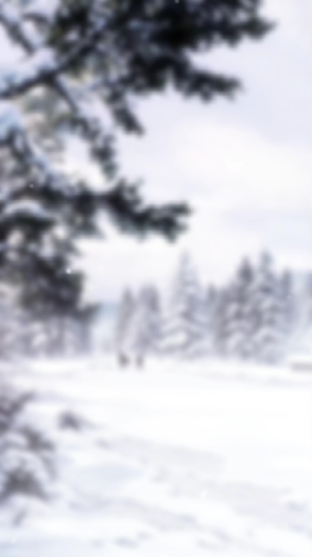 Modèle de neige