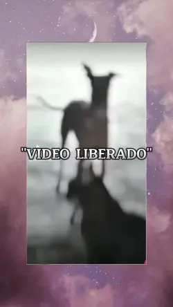 "VÍDEO LIBERADO"