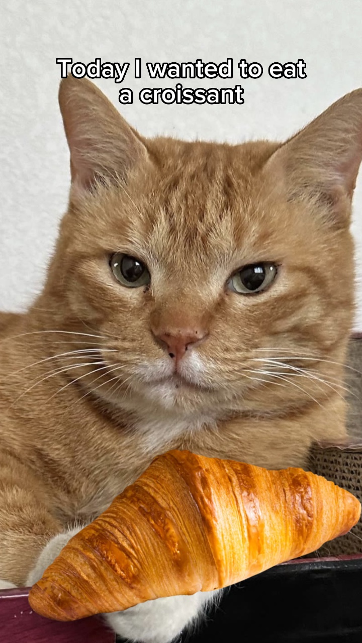 Je veux manger 🥐