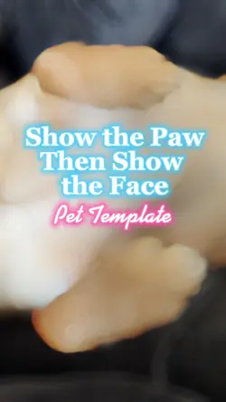 Show Paw then Face