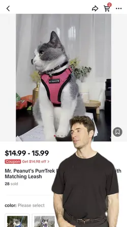 Would you buy this?
