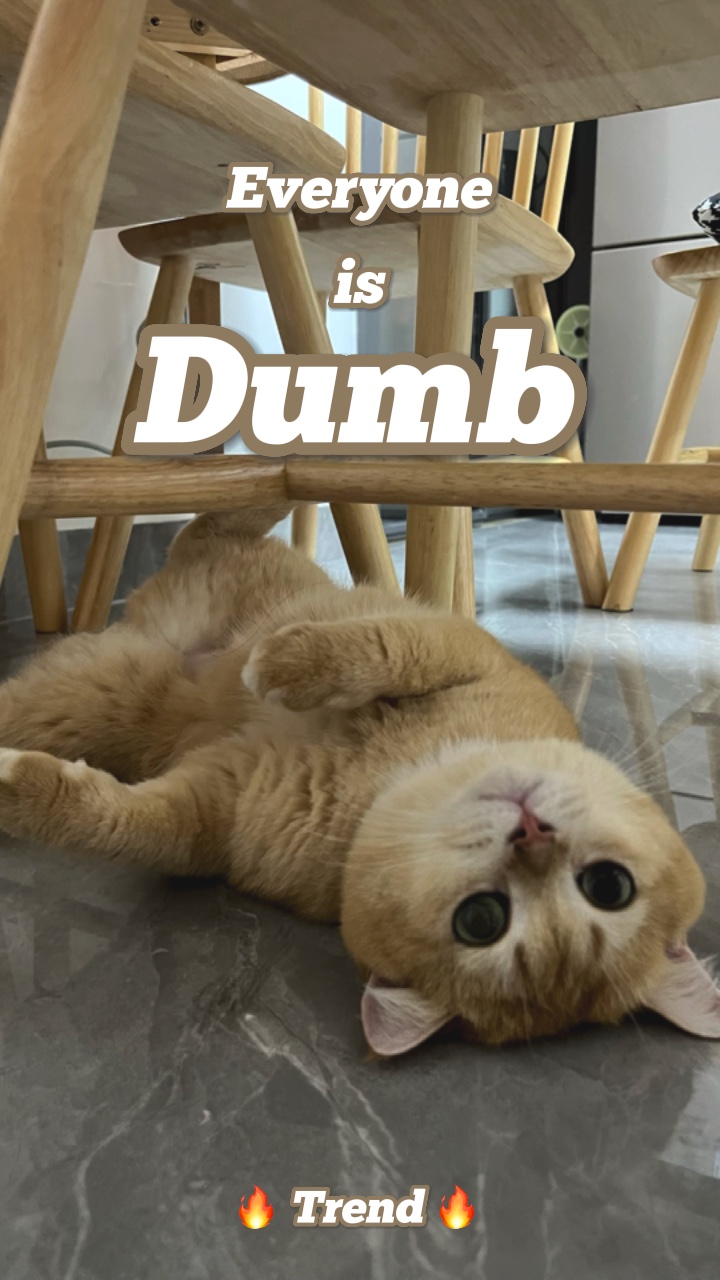 Dumb trend