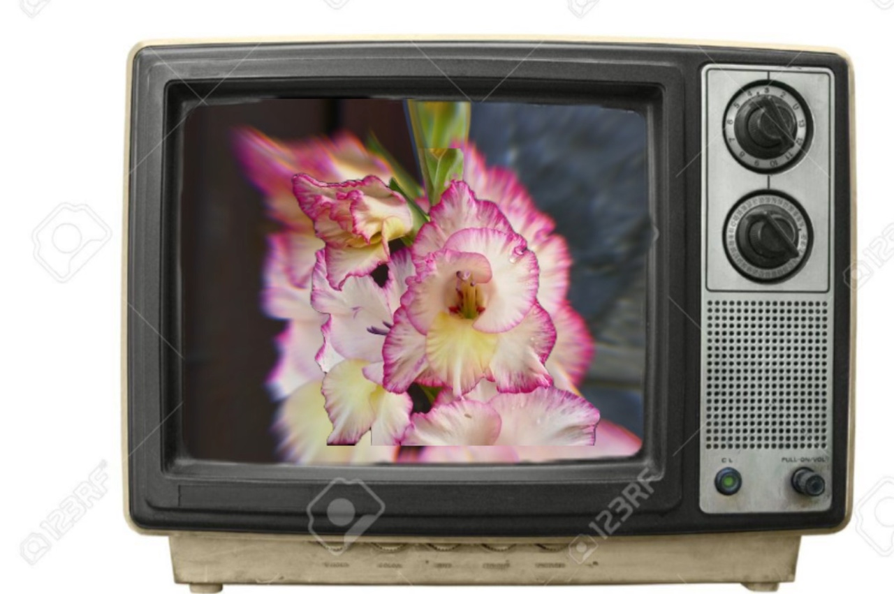 Fleurs