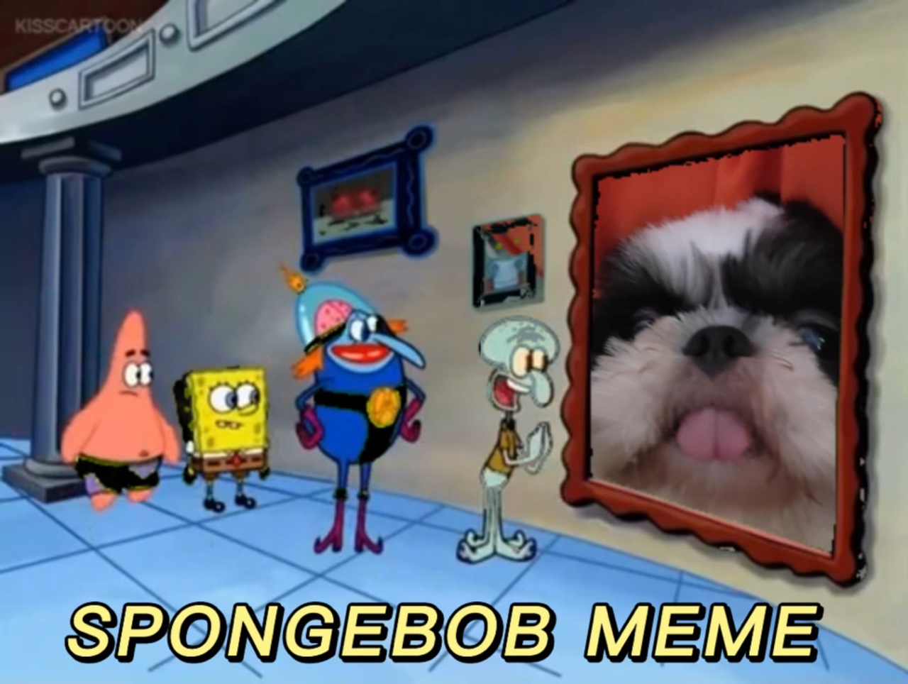 Sünger Bob Boyama 
