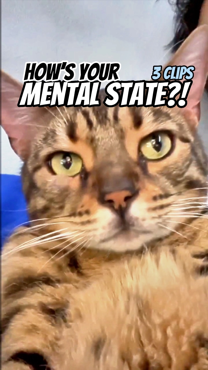 Mental state
