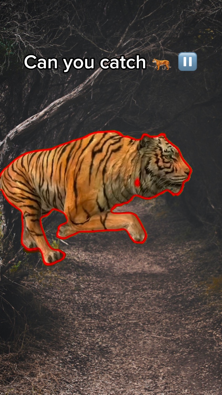 Yakalamak için Tıklayın 🐅