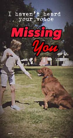 Missing You