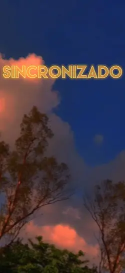 Video Sincronizado
