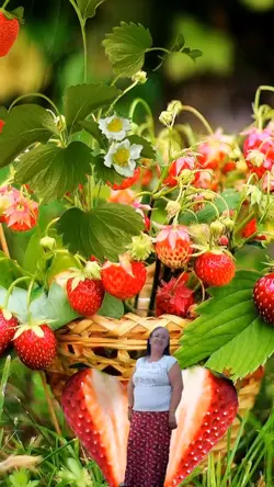 foto fruta 
