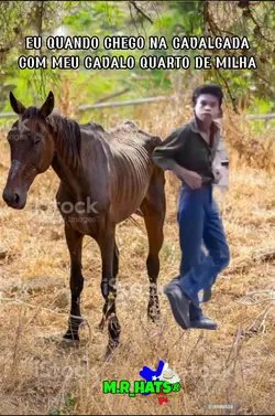 EU NA CAVALGADA