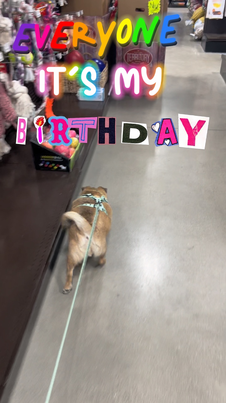 It’s My Birthday!