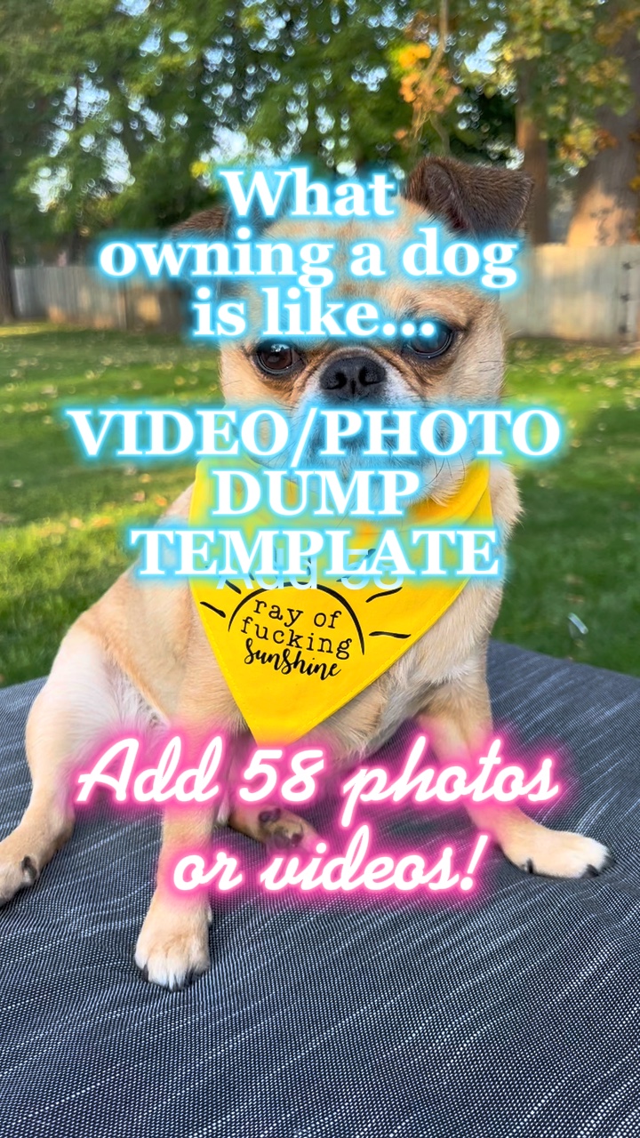 Tener un perro es como